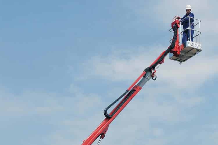 Platform Basket 15.75  image 7